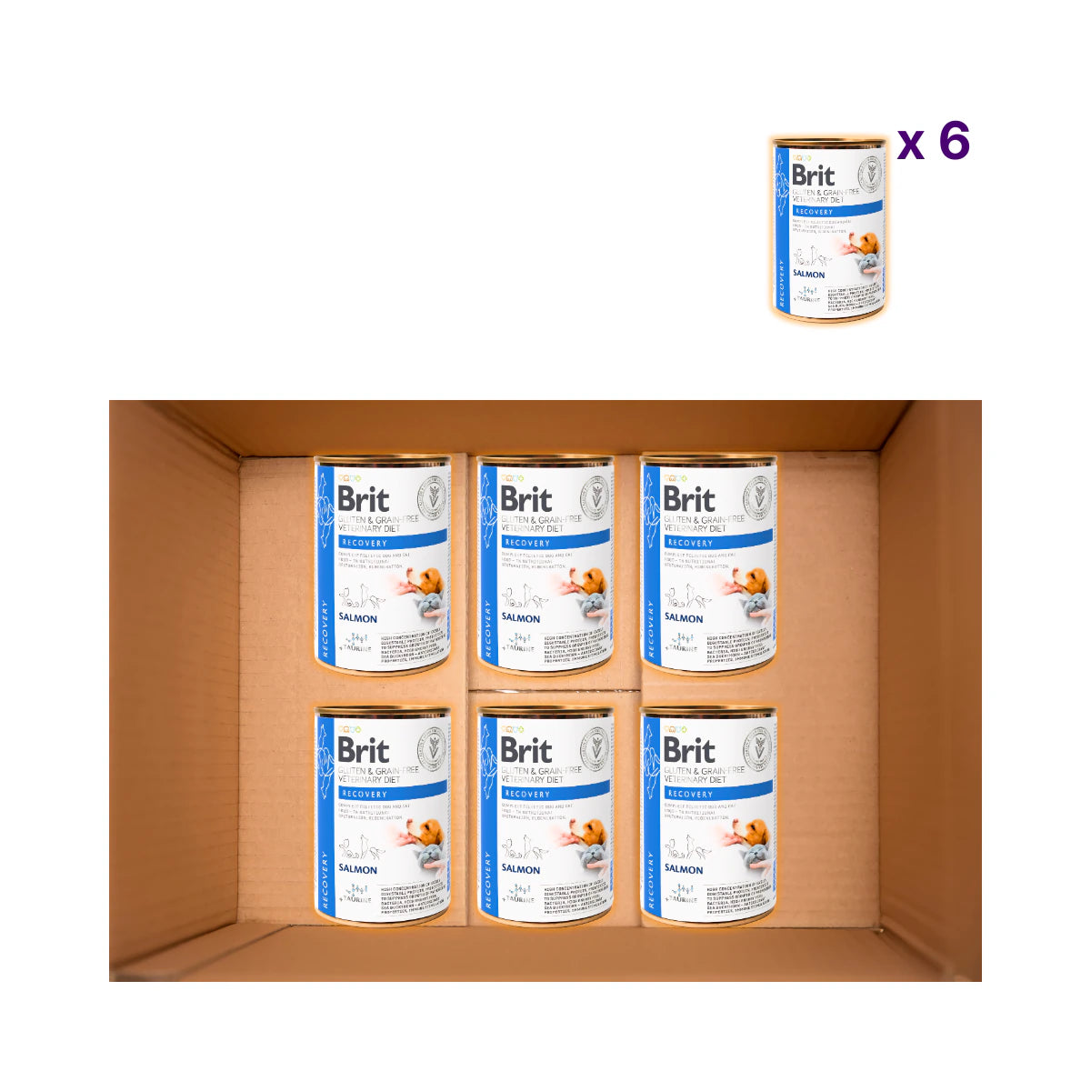 Вологий корм для котів Brit GF Veterinary Diet Recovery - лосось, пак з 6 шт - pawow.com.ua