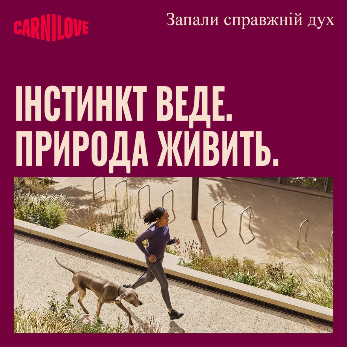 Корм сухий Carnilove True Fresh Fish & Turkey для cобак риба та індичка, промофото - pawow.com.ua