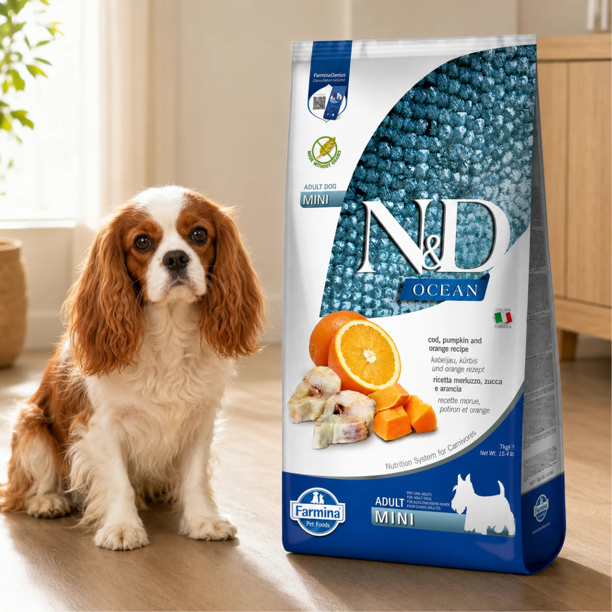 Беззерновий сухий корм Farmina N&D Grain Free Ocean Pumpkin для собак дрібних порід з тріскою та апельсином, промофото - pawow.com.ua