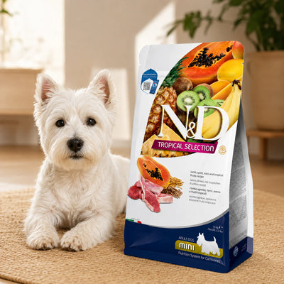 Сухий низькозерновий корм Farmina N&D Tropical Selection для дорослих собак дрібних порід з ягням та тропічними фруктами, промофото - pawow.com.ua