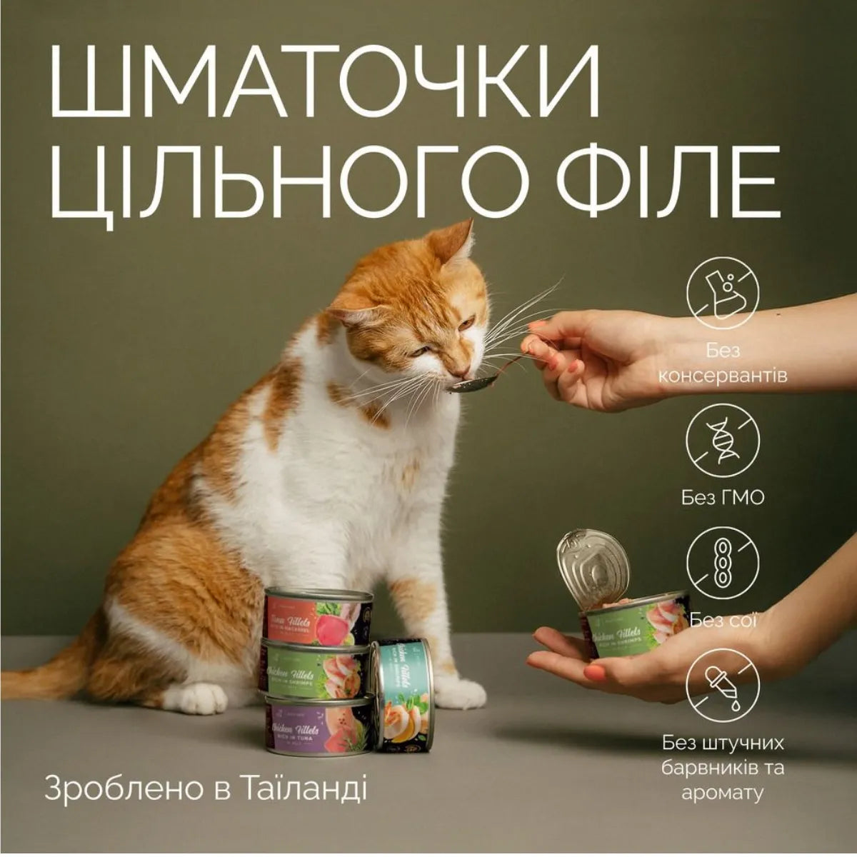 Savory Adult Cats вологий корм для котів 70 г - курка та креветка смакує