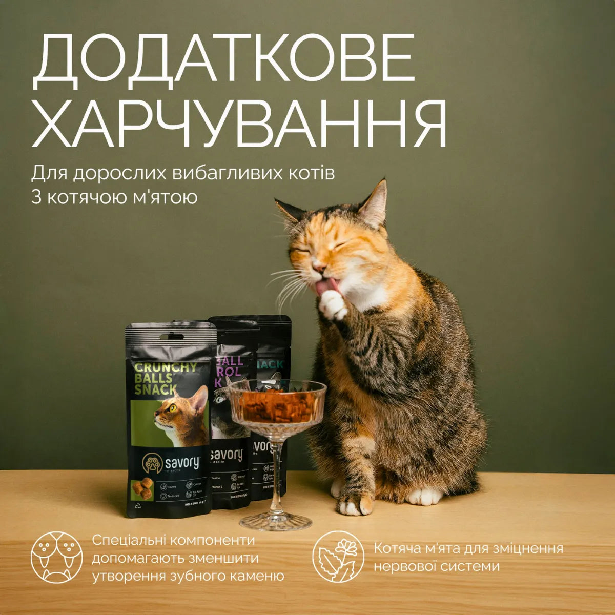 Savory Crunchy Balls Snack ласощі для котів 60 г - котяча м'ята, переваги