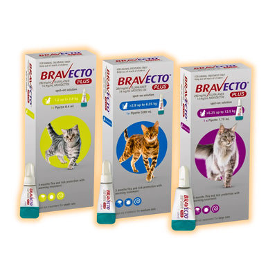 Bravecto Plus Краплі на холку від бліх, кліщів і глистів для котів