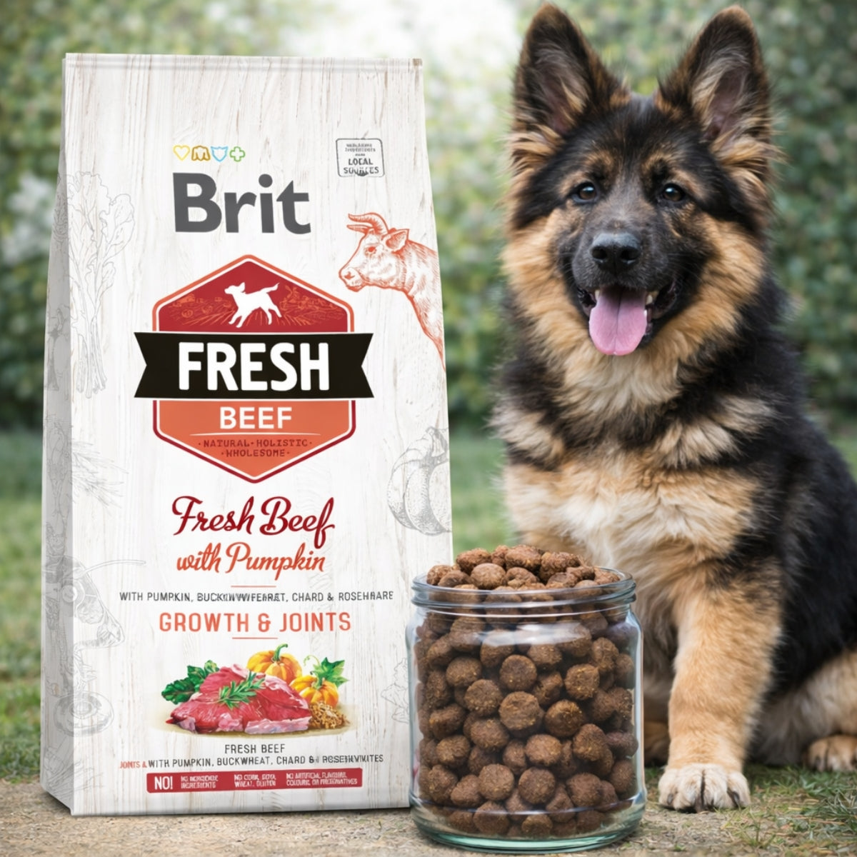 Cухий корм для цуценят Brit Fresh Puppy Junior Growth & Joints - яловичина та гарбуз, промофото - pawow.com.ua