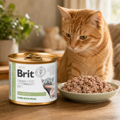 Вологий корм для котів Brit VetDiets Diabetes - ягня та горох, промофото - pawow.com.ua