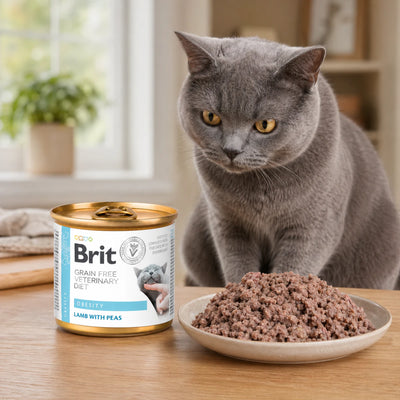 Вологий корм для котів Brit VetDiets Obesity - ягня та горох, промофото - pawow.com.ua