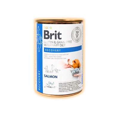 Вологий корм для котів Brit GF Veterinary Diet Recovery 400 г - лосось - pawow.com.ua