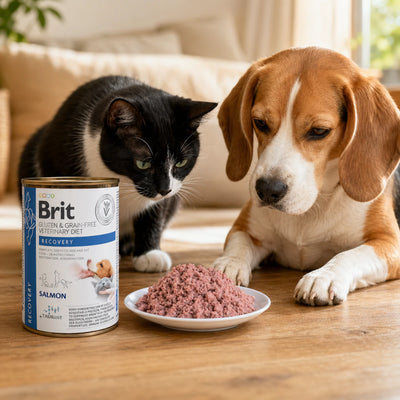 Вологий корм для котів Brit GF Veterinary Diet Recovery - лосось, промофото - pawow.com.ua