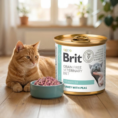 Вологий корм для котів Brit GF Veterinary Diet Struvite - індичка та горох, промофото - pawow.com.ua