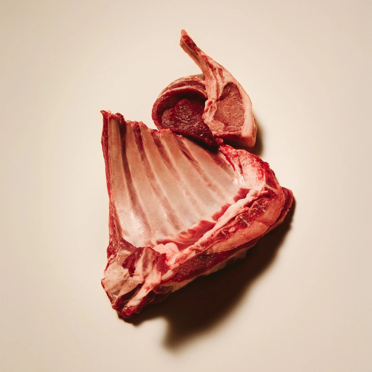 Корм сухий Carnilove Active Lamb & Wild Boar Sterilised для стерилізованих котів ягня і дикий кабан, свіжі інгредієнти  - pawow.com.ua