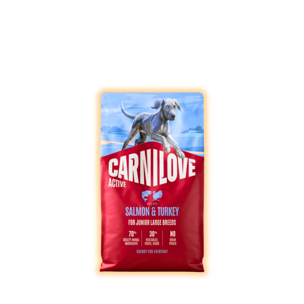 Корм сухий Carnilove Active Salmon & Turkey Junior Large Breed для молодих собак великих порід лосось та індичка 4 кг - pawow.com.ua