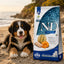 Беззерновий сухий корм Farmina N&D Grain Free Ocean Pumpkin для цуценят середніх і великих порід з тріскою та динею, промофото - pawow.com.ua