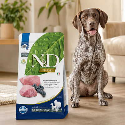 Фарміна дог сух N&D PRIME DOG LAMB & BLUEBERRY ADULT MEDIUM & MAXI з ягням та чорницею, промофото - pawow.com.ua