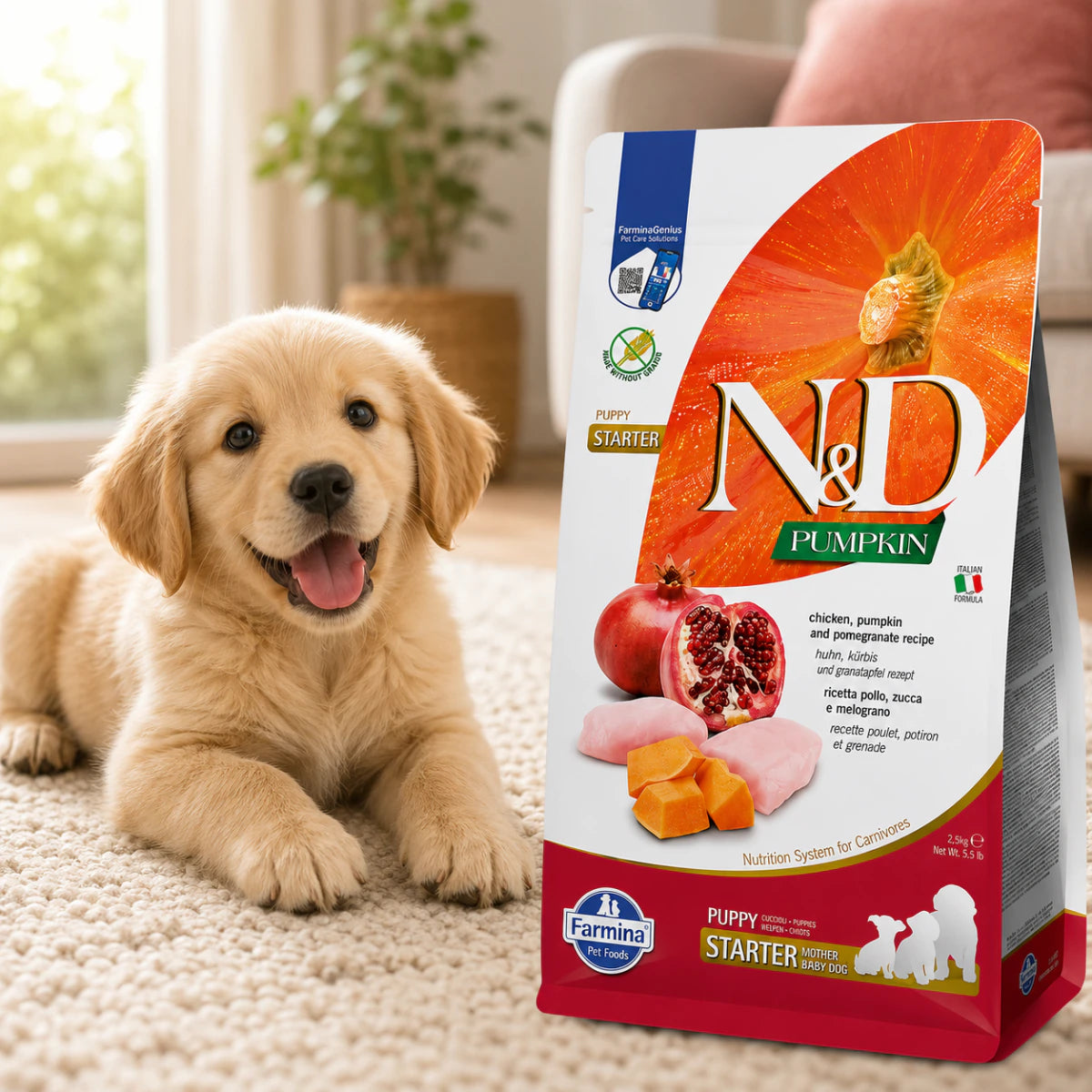Фарміна дог сухий N&D Grain Free PUMPKIN CHICKEN & POMEGRANATE STARTER PUPPY ALL BREEDS, промофото - pawow.com.ua