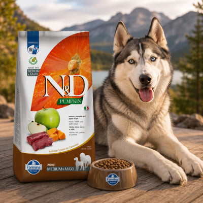 Фарміна дог сух N&D Grain Free  PUMPKIN DOG VENISON & APPLE ADULT MEDIUM & MAXI з олениною та яблуком, промофото - pawow.com.ua