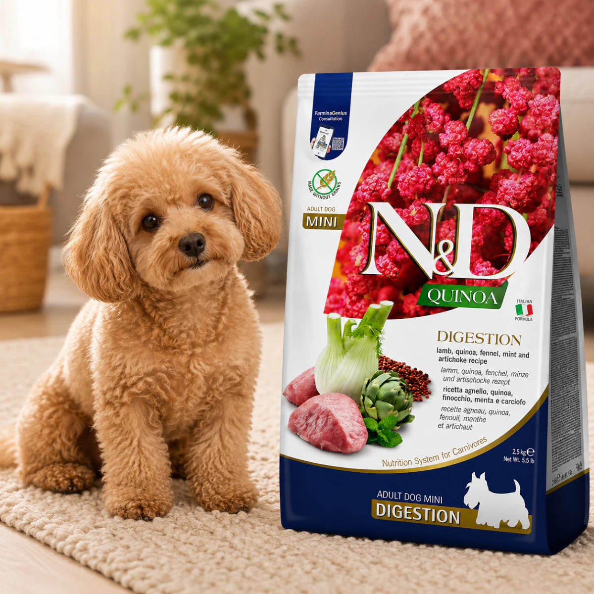 Сухий дієтичний корм Farmina N&D Quinoa Digestion для дорослих собак дрібних порід у разі порушень травлення ягням та кіноа, промофото - pawow.com.ua