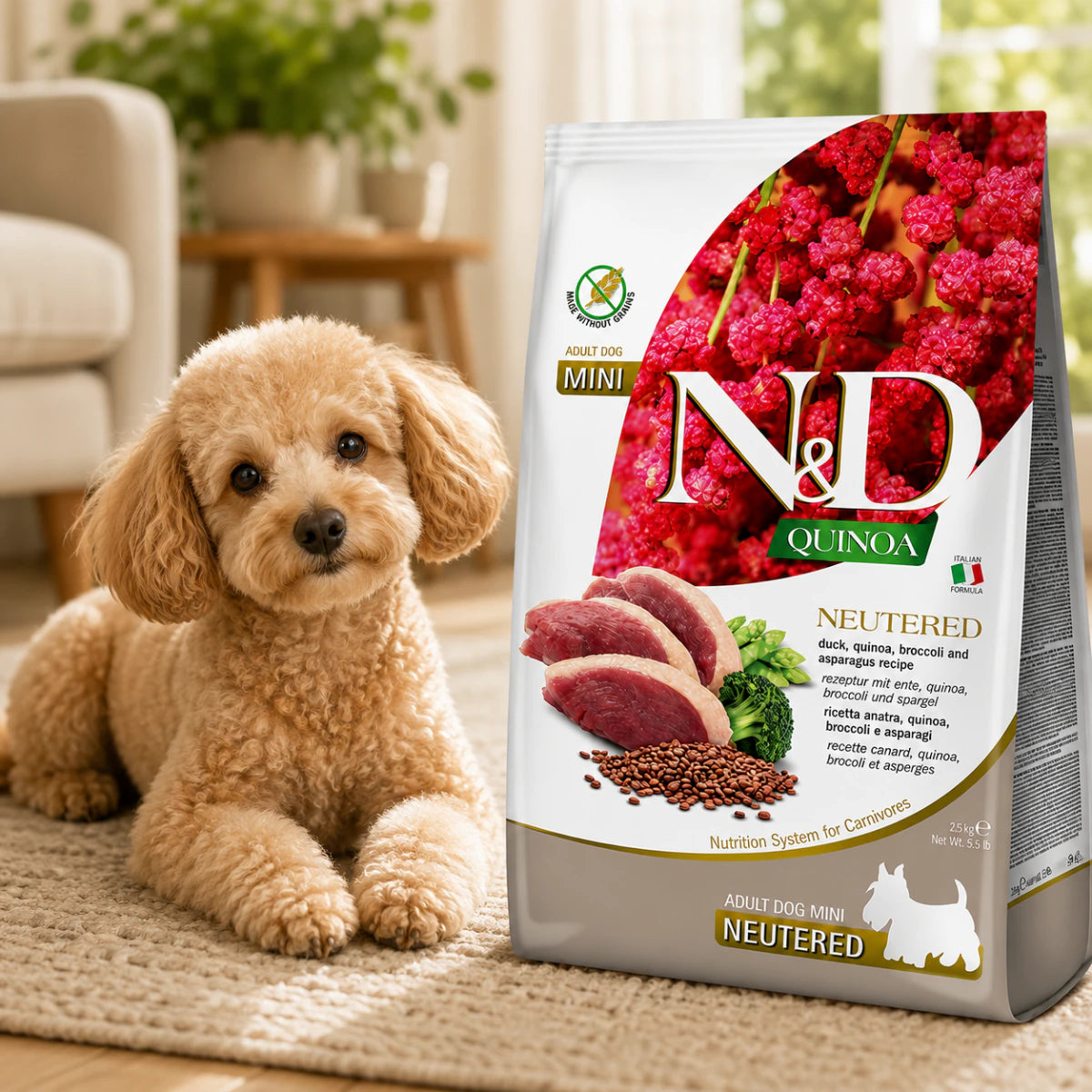 Сухий корм Farmina N&D Quinoa Duck Broccoli&Asparagus Neutered для дорослих стерилызованих собак дрібних порід, качка, кіноа, броколі та спаржа, промофото - pawow.com.ua