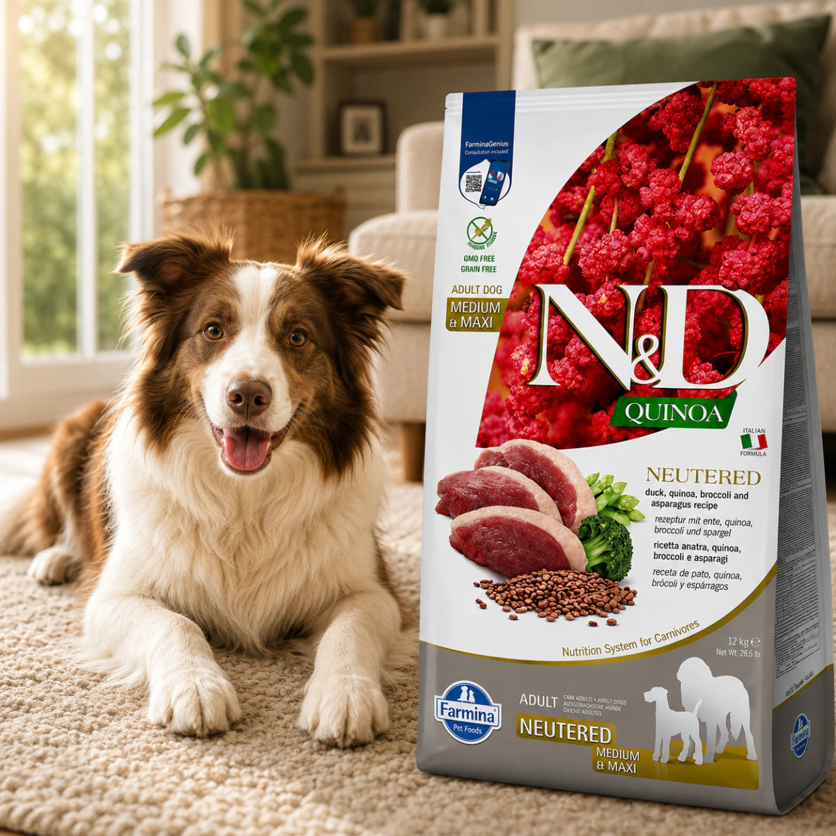 Сухий корм Farmina N&D Quinoa Duck,Broccoli&Asparagus Neutered для дорослих стерил.собак середніх та великих порід,качка,кіноа,броколі і спаржа, промофото - pawow.com.ua