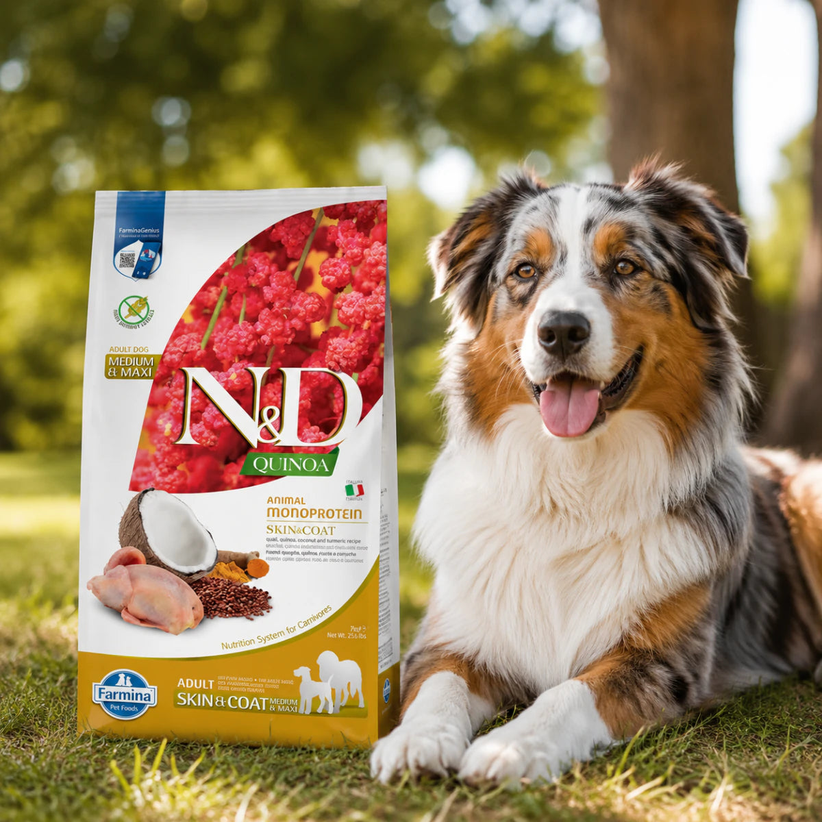 Farmina N&D Quinoa Dog Adult Medium & Maxi Skin & Coat Quail & Coconut, промофото - pawow.com.ua