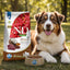 Farmina N&D Quinoa Dog Adult Medium & Maxi Skin & Coat Venison & Coconut, промофото - pawow.com.ua