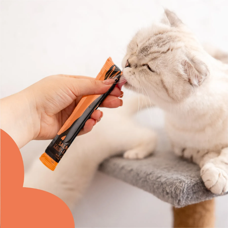 Ласощі кремові для котів Mavsy Creamy superfood SALMON WITH SCALLOP AND RED CAVIAR FOR CATS у вигляді кремоподібного пюре філе лосося з морським гребінцем та червоною ікрою, смакує котьо