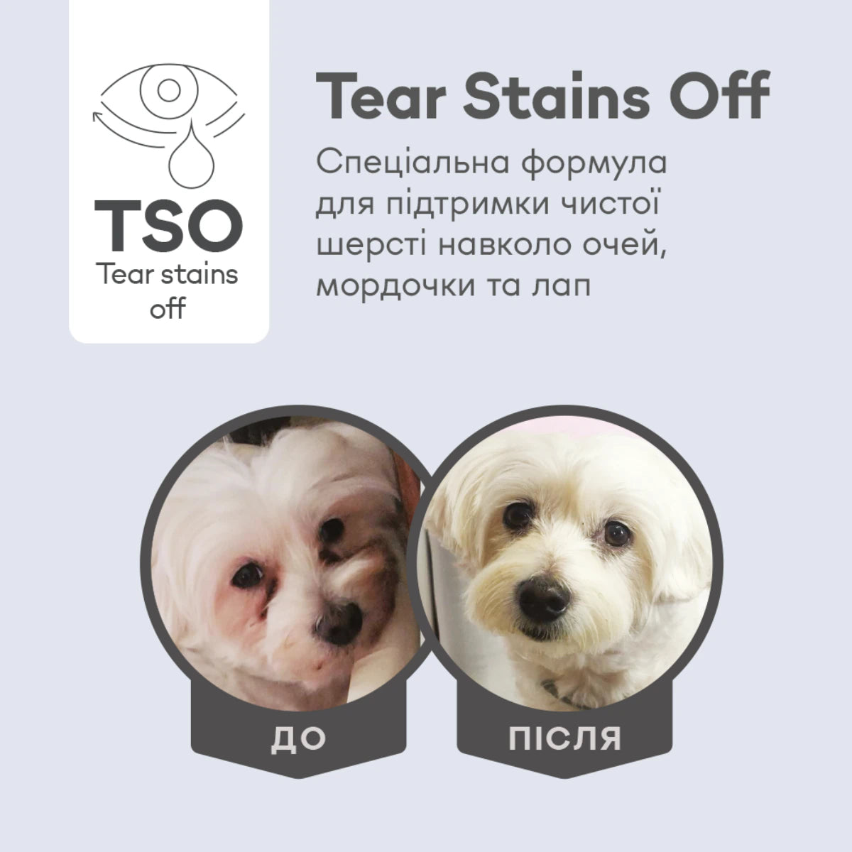 Nature's Protection Superior Care White Dogs Lamb Adult Small and Mini Breeds Сухий корм для дорослих собак малих порід з ягням, TSO - pawow.com.ua