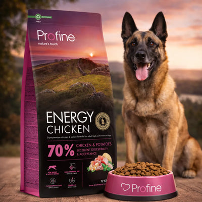 Cухий корм для собак Profine Energy - курка та картопля, промофото - pawow.com.ua