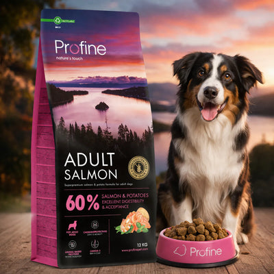 Cухий корм для собак Profine Adult - лосось та картопля, промофото - pawow.com.ua