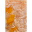 Корм вологий Savory Chicken Fillets rich in Shrimps in Jelly for Kittens філе курки з креветками в желе для кошенят, структура