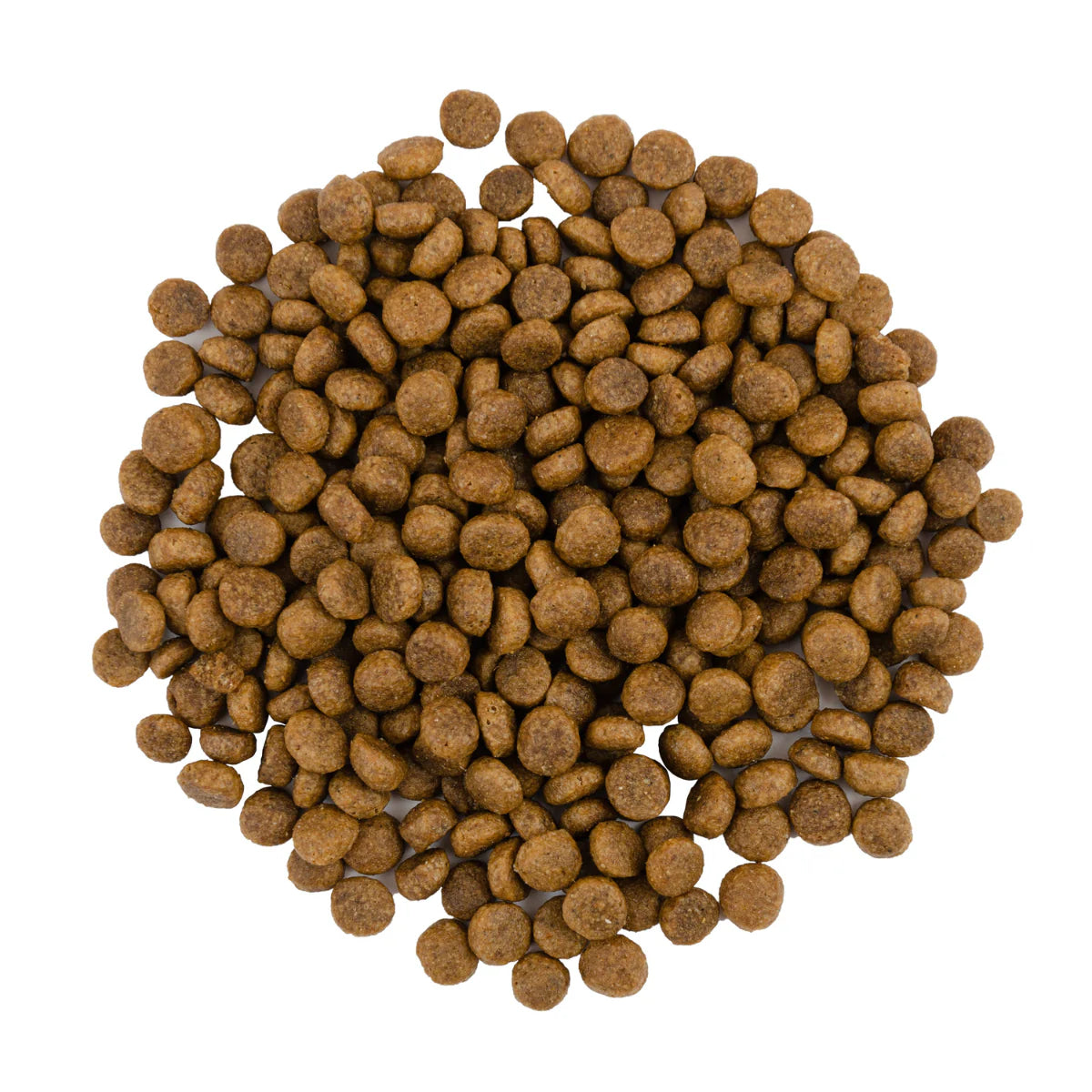 Сухий корм для котів Savory Adult Gourmand - індичка та качка, гранули - pawow.com.ua