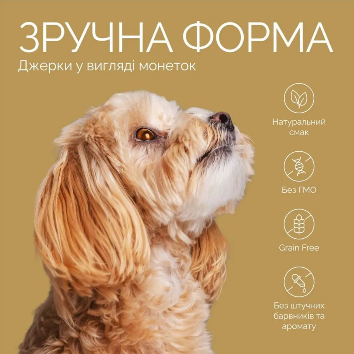Джерки Savory Puppy Coins With Turkey, монетки для цуценят з індичкою, зручна форма