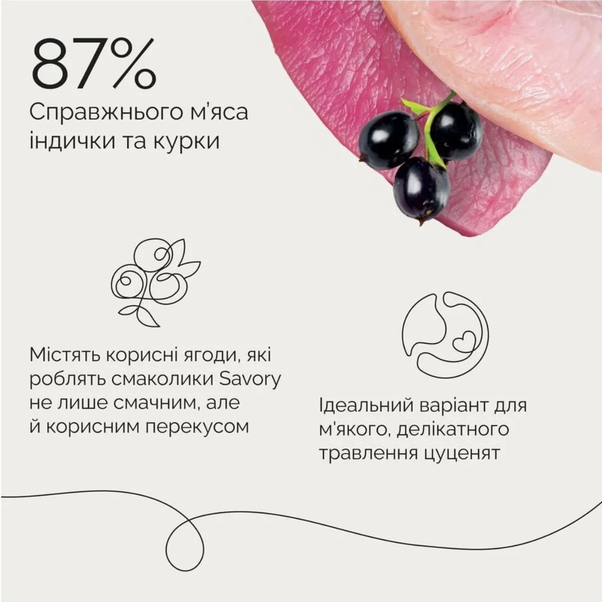 Джерки Savory Puppy Coins With Turkey, монетки для цуценят з індичкою, 87% справжнього мʼяса індички та курки