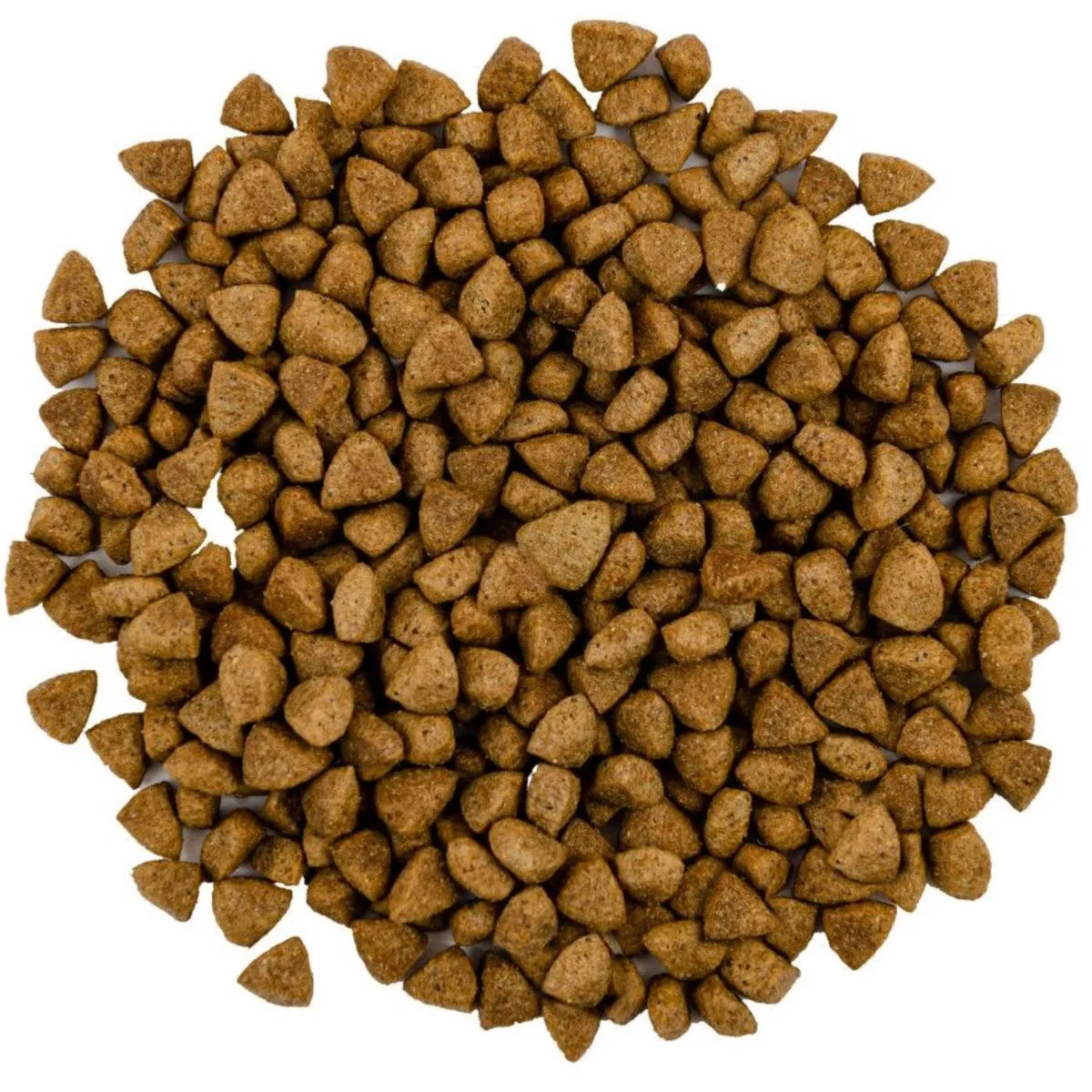 Гранули корму сухого Savory Adult Cat Steril Fresh Lamb and Chicken для стерилізованих котів зі свіжим ягням і куркою