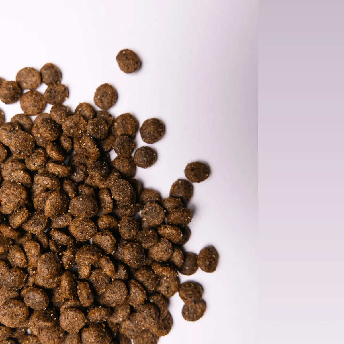 Savory Small Breed сухий корм для собак - індичка та ягня, гранули - pawow.com.ua